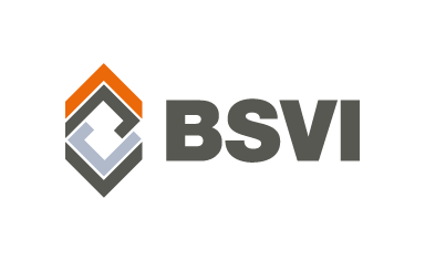 130415_Logo_BSVI_Schutzzone_transparent